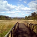 Urban Park El Bosque