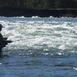 Panguipulli
