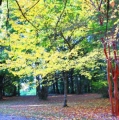 Jardín Botánico,  UACh