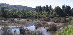 Peri-urban Reserve Llancahue