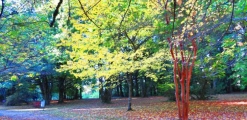 Botanical Garden, UACh