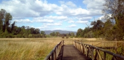 Urban Park El Bosque