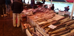 Valdivia River Market