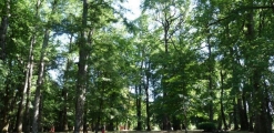 Galería Parque Santa Ines