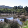 Peri-urban Reserve Llancahue