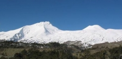Mocho Choshuenco National Reserve