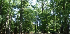 Santa Inés Park