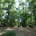 Santa Inés Park