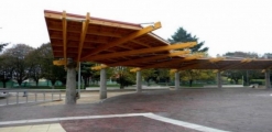 Paillaco