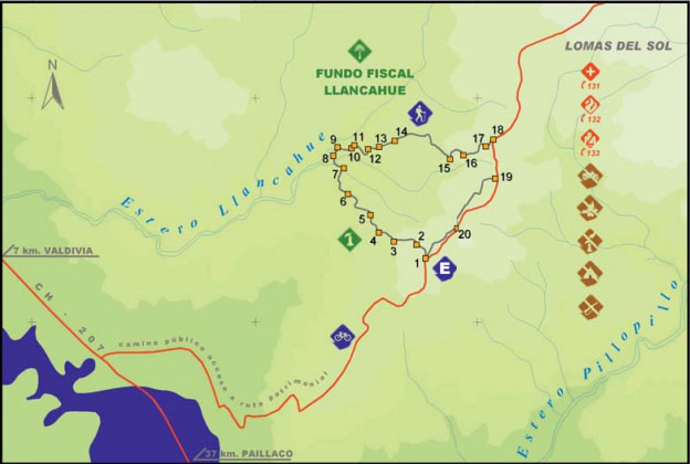 Ruta