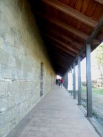 Fuerte_niebla_04