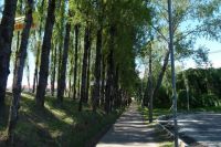 ingreso_peatonal_uach