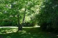 jardin_botanico_03