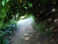 jardin_botanico_04