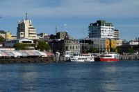Muelle_schuster