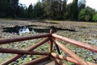 mirador_laguna_florde_loto_02