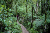 parque_oncol_02