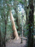 parque_oncol_06