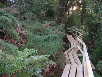 parque_oncol_09