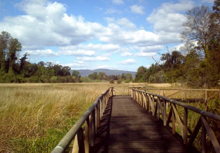 Parque Urbano El Bosque