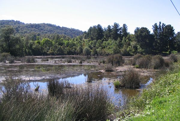 Reserva Periurbana Llancahue