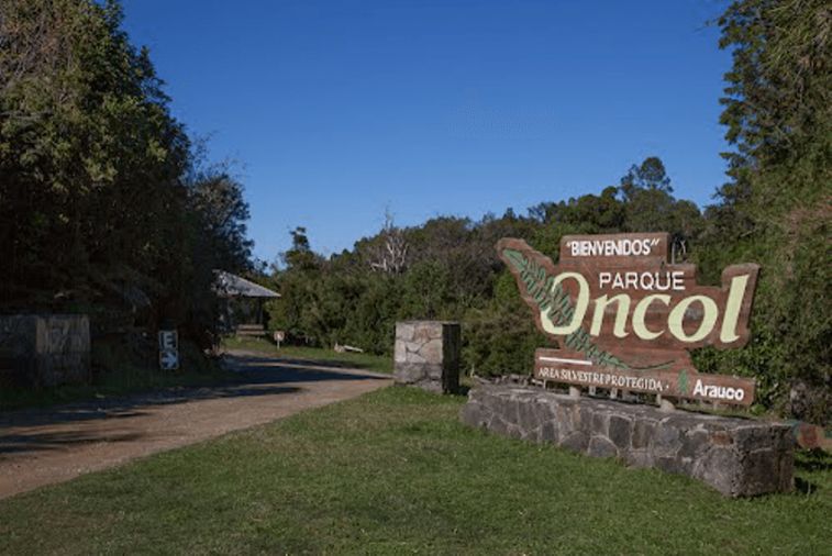 Parque Oncol