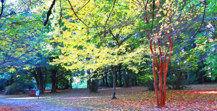 Jardín Botánico,  UACh