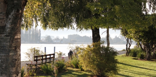 Parques y Áreas Verdes